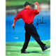 Image for article titled Tiger Now Crushing Children's Dreams